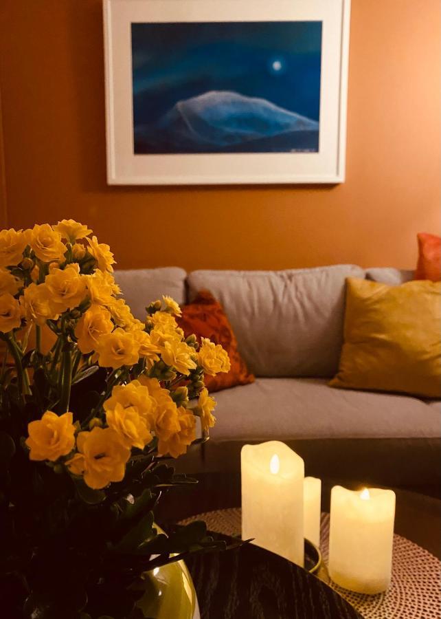 Polar Arctic View - Free Parking! Apartamento